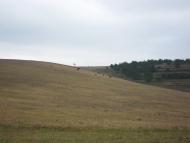 Строгонівка з panoramio.com