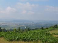 Ільниця з panoramio.com