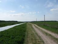 Гостролуччя з panoramio.com