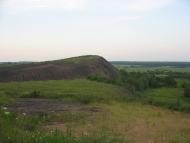 Грибовиця з panoramio.com
