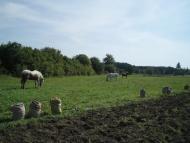 Бухарів з panoramio.com