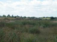 Нова Галещина з panoramio.com