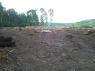 Іволжанське з panoramio.com