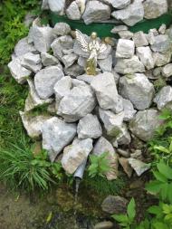 Маріямпіль з panoramio.com