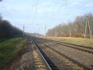 Кривачинці з panoramio.com