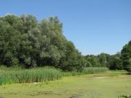 Лютенські Будища з panoramio.com