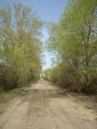 Вівчицьк з panoramio.com