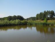 Кошляки з panoramio.com