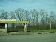 Шелюги з panoramio.com