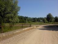 Верба з panoramio.com