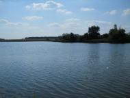 Кошляки з panoramio.com