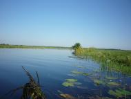 Березичі з panoramio.com