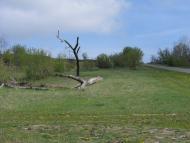 Гордашівка з panoramio.com