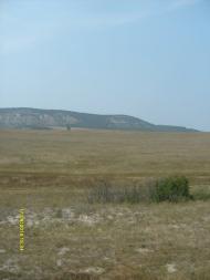 Сирень з panoramio.com