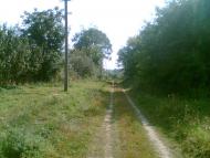 Михалківці з panoramio.com