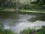 Яремівка з panoramio.com