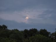 Струмок з panoramio.com