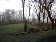 Вишнопіль з panoramio.com - Вишнополь