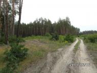 Скрипаї з panoramio.com