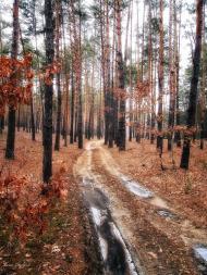 Кримка з panoramio.com