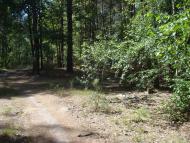 Савенки з panoramio.com