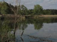 Леськи з panoramio.com - Леськи