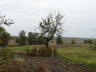 Самгородок з panoramio.com