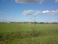 Привільне з panoramio.com