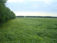 Новий Глібів з panoramio.com