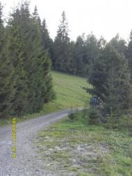 Орявчик з panoramio.com