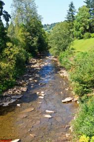 Лопушне з panoramio.com