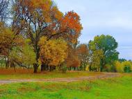 Каютине з panoramio.com