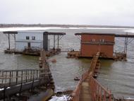 Новоселівка з panoramio.com