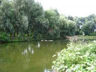 Підлісне з panoramio.com