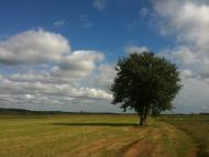 Волиця з panoramio.com