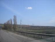 Нова Кам'янка - Останні фото