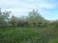 Володимирівка з panoramio.com