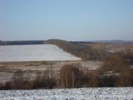 Петрівське з panoramio.com