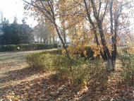 Воронівка з panoramio.com