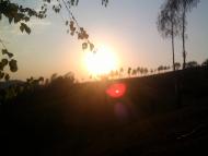 Вільхівчик з panoramio.com