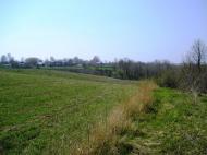 Луциківка з panoramio.com