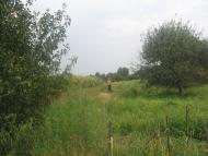 Петрівське з panoramio.com