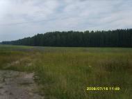 Заріччя з panoramio.com