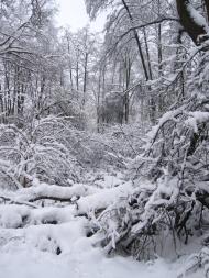 Чепиліївка з panoramio.com