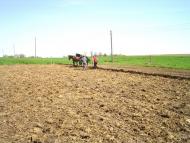 Бубнівка з panoramio.com