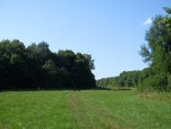 Кошляки з panoramio.com