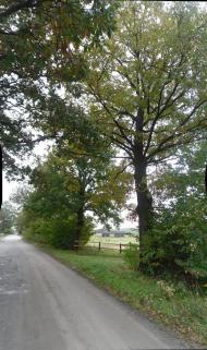 Монастирок з panoramio.com