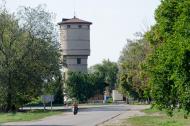 Білики з panoramio.com