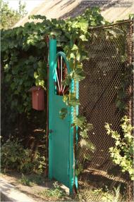 Лукашеве з panoramio.com