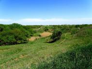 Садовий з panoramio.com